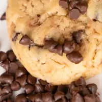 Chocolate Chip Cookie2